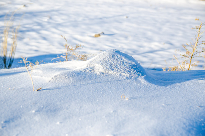做一匹冬天的野马,在呼伦贝尔的雪原上狂欢撒野