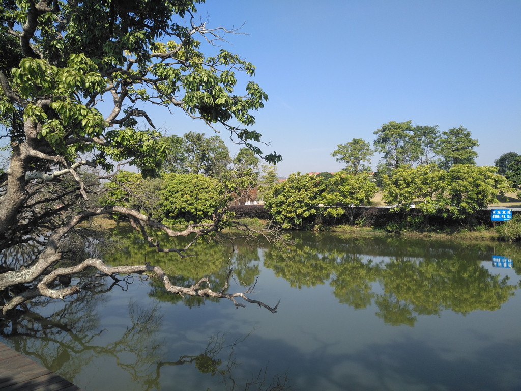 增城挂绿湖 - 绿茵农庄 - 增城广场自驾游