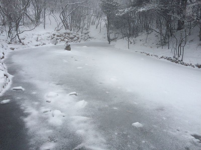 溪水已经冻住了,上面盖了薄雪