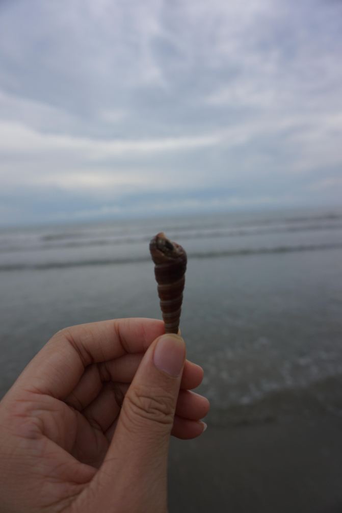 交通方式:广州出发 广州---阳西: 广州各大客运站都有到达阳西汽车站的班车,时间大概3-4小时,班次最多的是省站,每10-15分钟一班,票价:123元;芳村客运站节假日有双程来回票,180元,回程需要在回来前一天预订座位,上车要问工作人员拿预订回程票的电话。 阳西---上洋镇: 到达阳西客运站后进站买票,买到上洋的短途客运班车 8元 (该车只能到达上洋镇中心) 上洋镇---南山海: 镇中心到南山海度假区大概还有10几公里,下车后可打摩的到南山海,车费大概15元。 (备注:我们是有朋友认识当地的朋友,吃