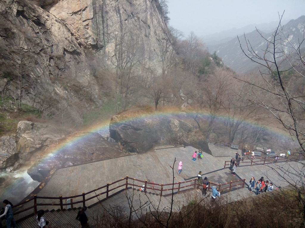 太平山森林公园攻略