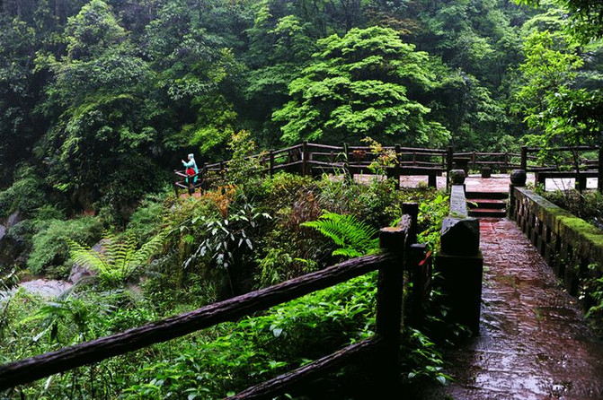 【燕子岩国家森林公园】