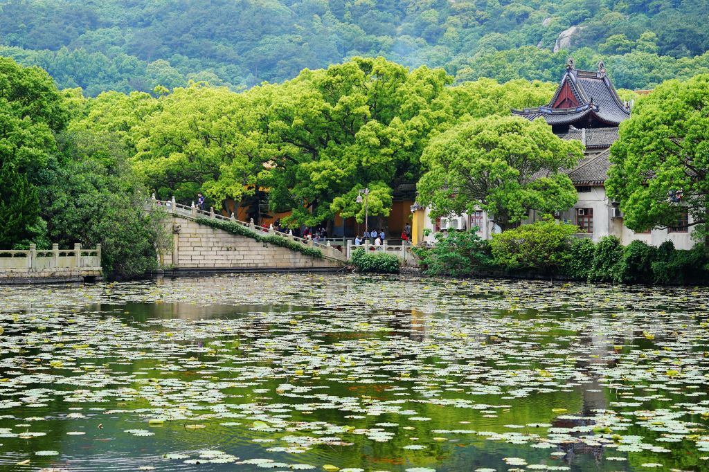 海印池南端的那座石塔,就是传说中普陀山镇山三宝之一的多宝塔了.