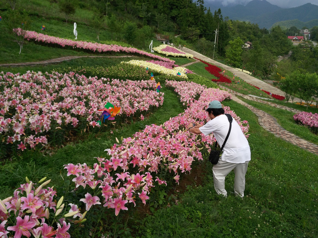 空中花园"九重花岭",养生好去处