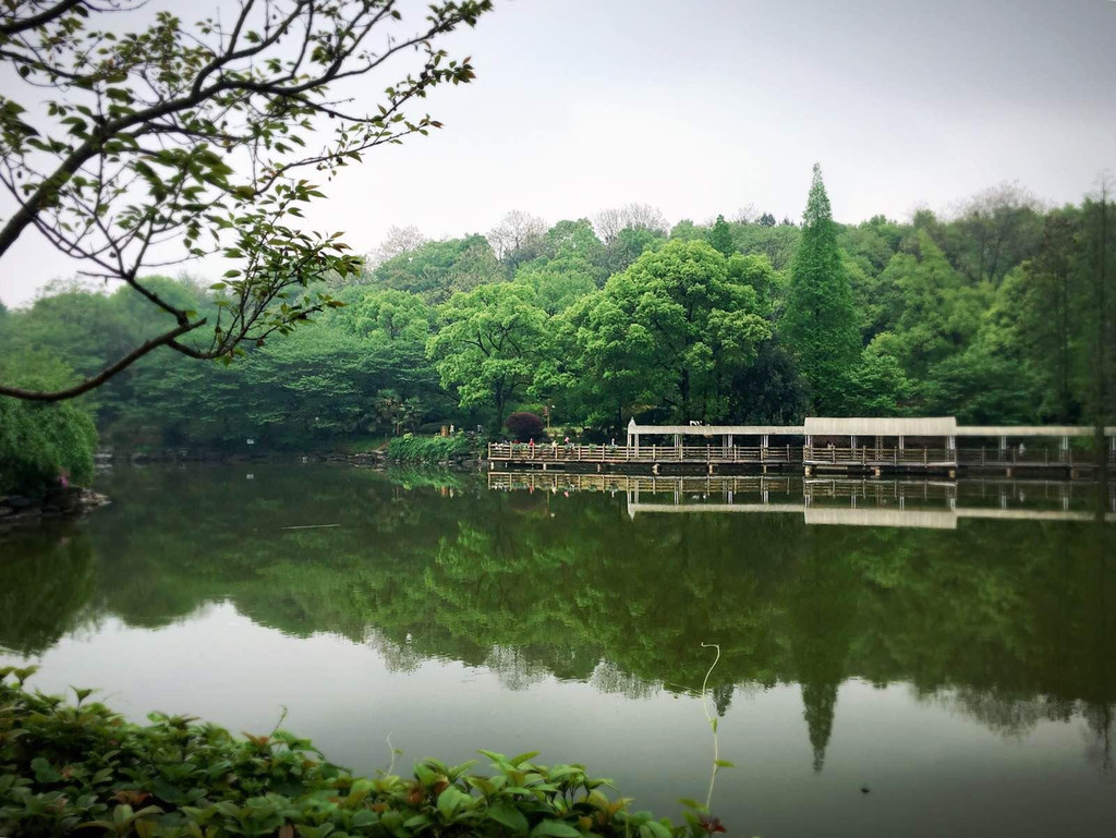 湖南省森林植物园                          