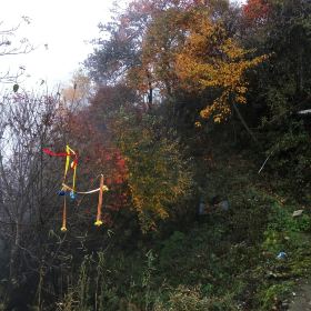 赵公山门票,都江堰赵公山攻略/地址/图片/门票价格【携程攻略】
