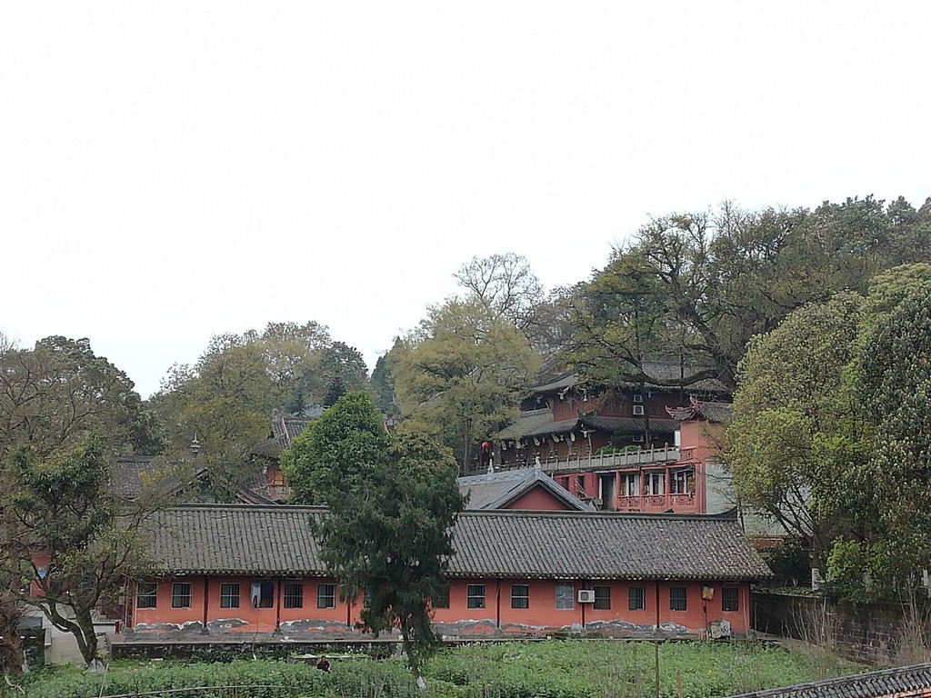 ·羰