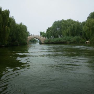 大明湖的夏雨荷_大明湖一年收入多少钱(2)