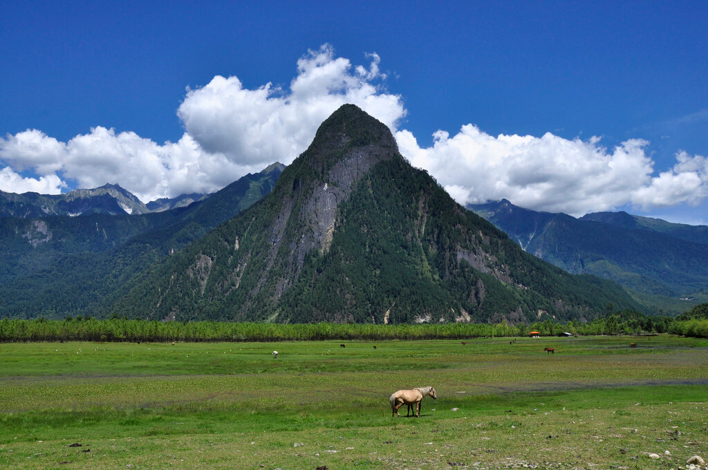 静静地绕易贡湖(易贡湖原为堰塞湖)一周,可以领略到铁山,雪山,湿地