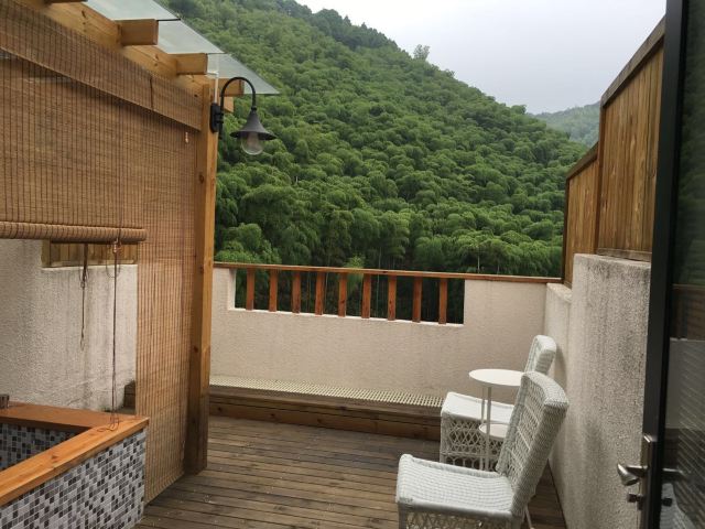 新农村住宅民宿设计图分享展示