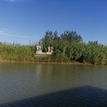 泗洪洪泽湖湿地公园_泗洪湿地公园门票收入(3)