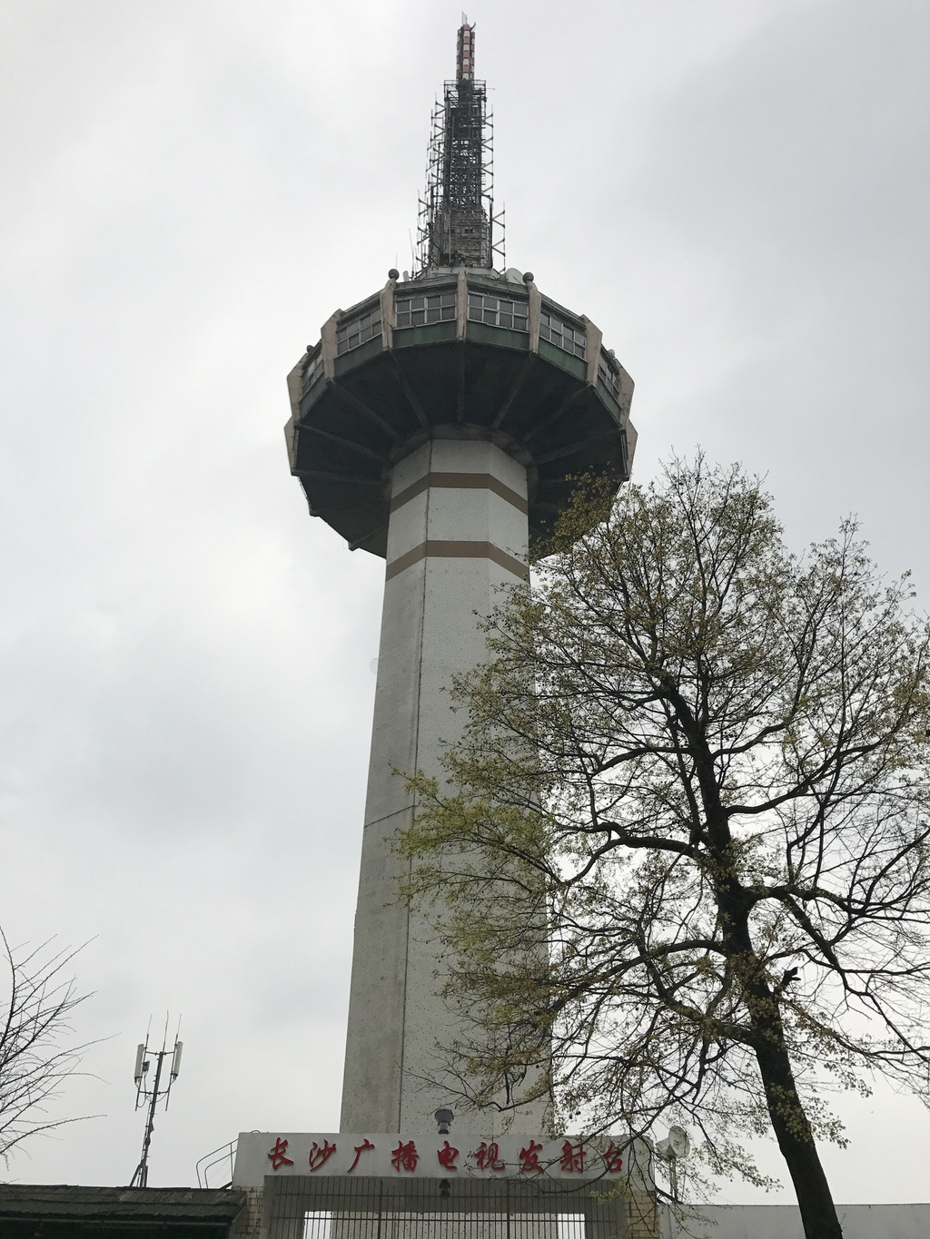 7.岳麓山--电视塔