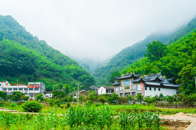 青山绿水就是金山银山,温州西部4日乡村之旅