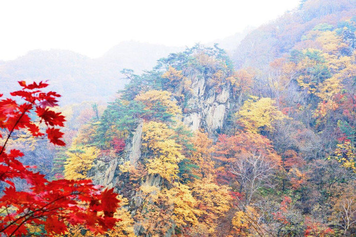 丹东沟---一个美的窒息令人的游记!-天桥地方攻略的游戏第五章权力图片