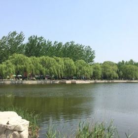 蒲湖公园门票,滨州蒲湖公园攻略/地址/图片/门票价格