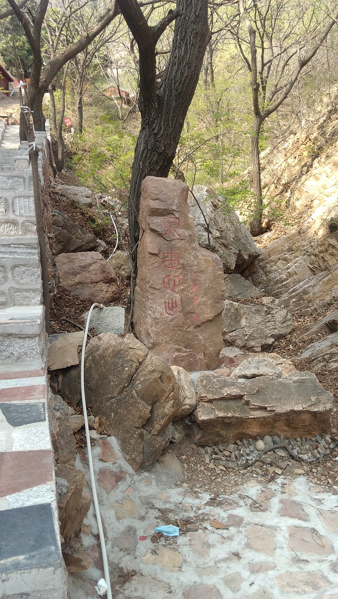 青龙山(本地的一个4a级景区 青龙山大门 中午饭没时间吃,立马去第二