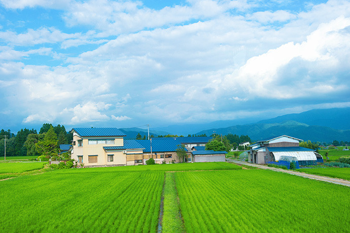 日本北海道,东北地区自由行(美景 美食 温泉)多图