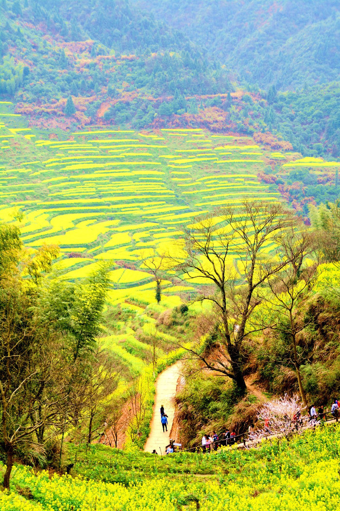 篁岭是婺源东线上一个典型的山居村落,当地村民自古就有用竹晒匾晾晒