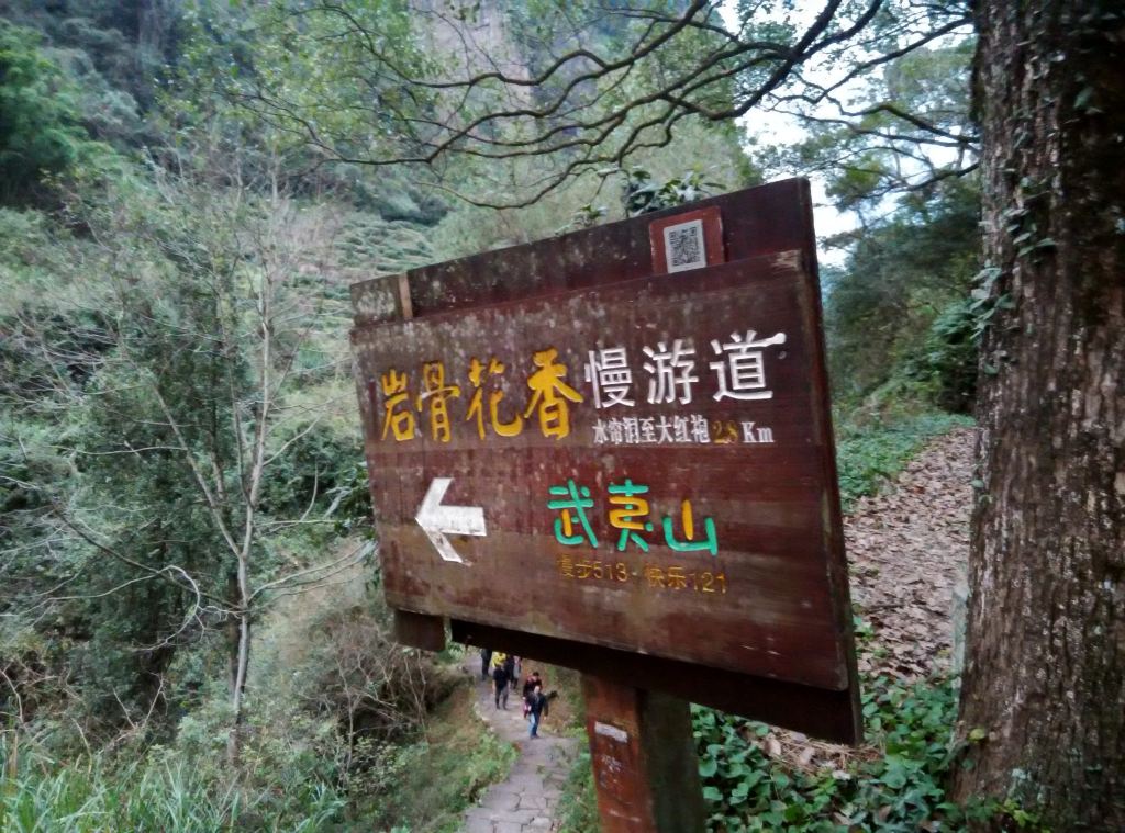 一个人的福建武夷山之旅