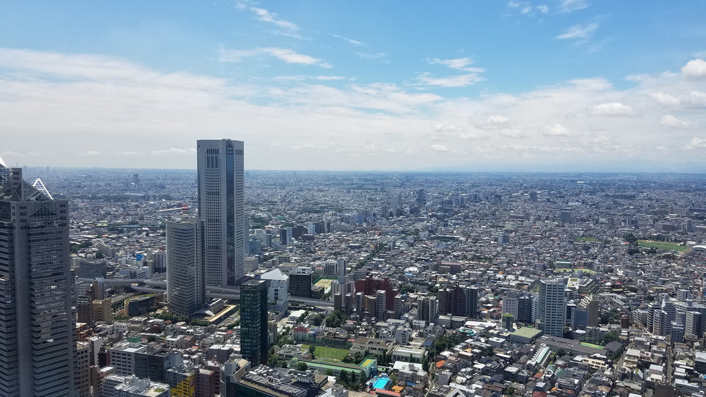 东京的全景,完全不是想象中高楼林立,都是密密匝匝的矮房子