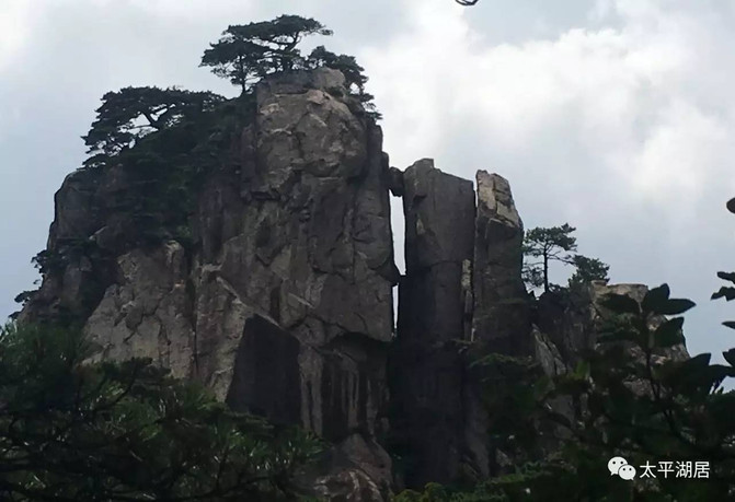 再登黄山览胜景