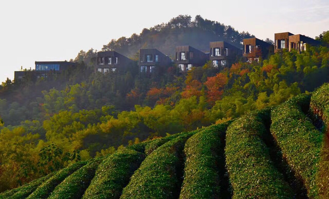 美岕山野温泉度假村,秘境森林树屋,深藏不露的美!