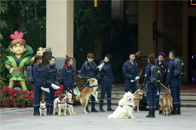 呀诺达旅游· 姜潮携神犬小七再来袭,情人节上演花式"秀狗"