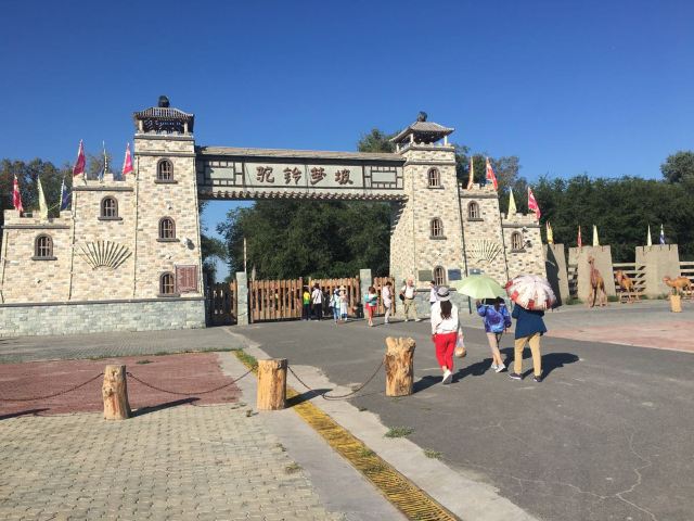 西安女娃一路向西的北疆之旅