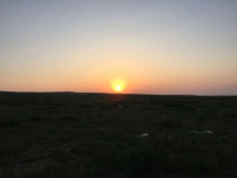 乌兰察布岩画-四子王旗-170****282