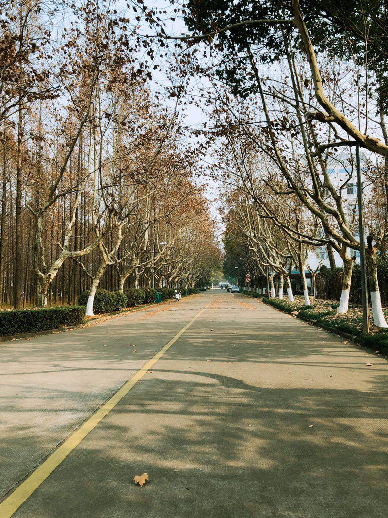 绍兴文理学院
