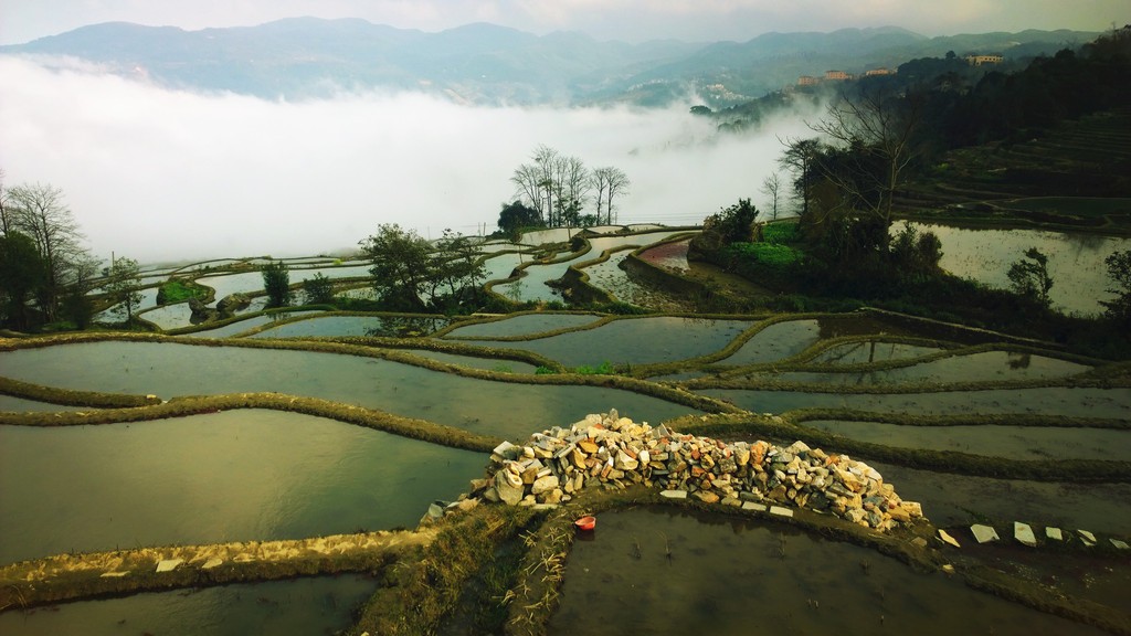 品观云之南—昆明建水元阳游