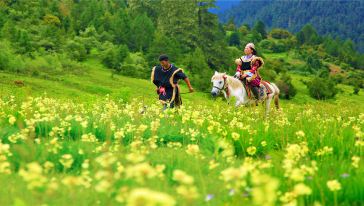 林芝至色季拉山,鲁朗林海,鲁朗花海牧场,鲁朗国际小镇直通车一日游