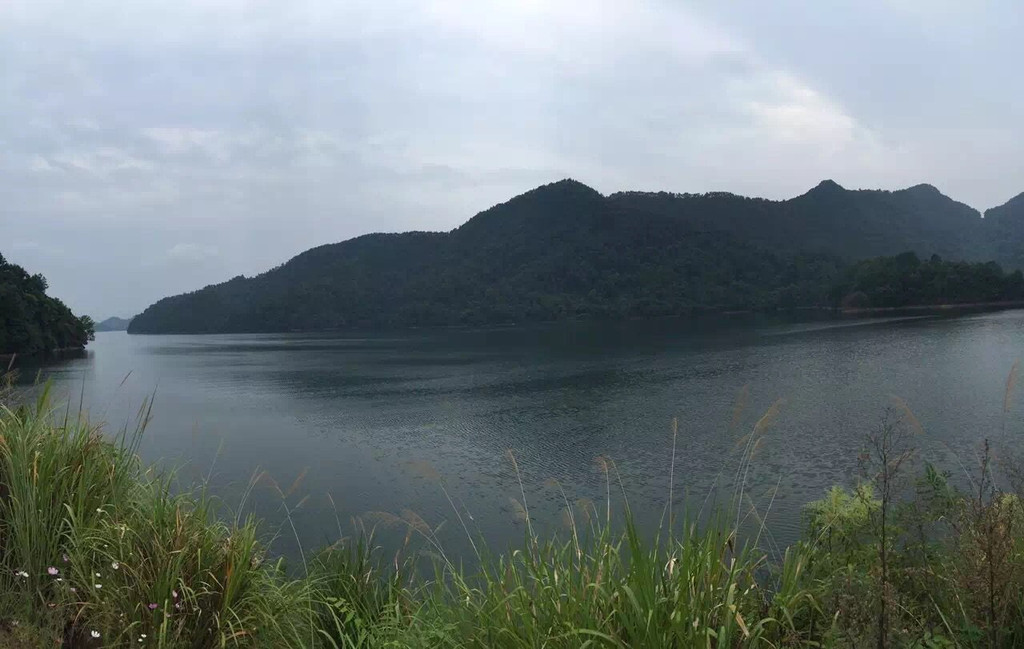 这个山不高,不秀,不险,不俏,一路爬山过程毫无玩点可言,可以说森林氧吧完全是骗骗久居大都市里来的人,像我这种从小山脚下长大的,跑这里太无趣了。 20分钟左右就登山顶?(步行道的顶,其实不是山顶)沿途视野不开阔,不要坑我啊。这个山脊跟天脊龙门没法比的好吧 http://you.