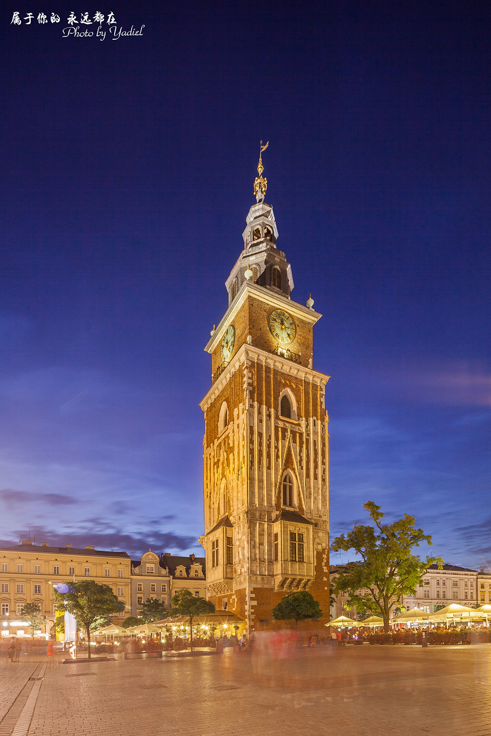 位于波兰第二大城市克拉科夫的老城,是老城市集广场的地标性建筑之一