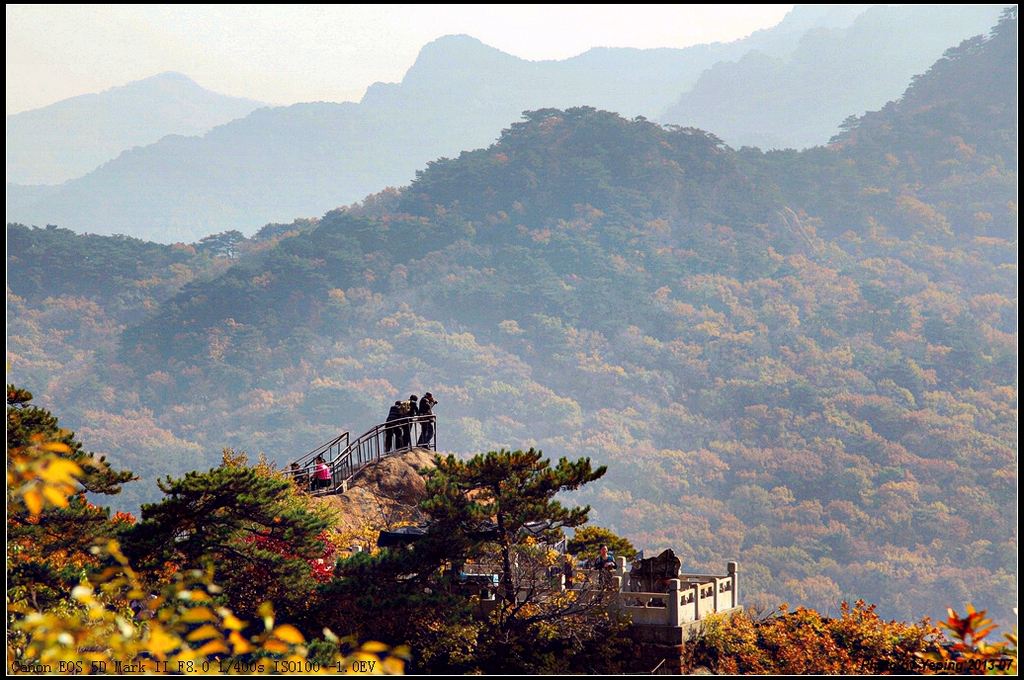 鼎湖山是岭南四大名山之首,距肇庆城区东北18公里.