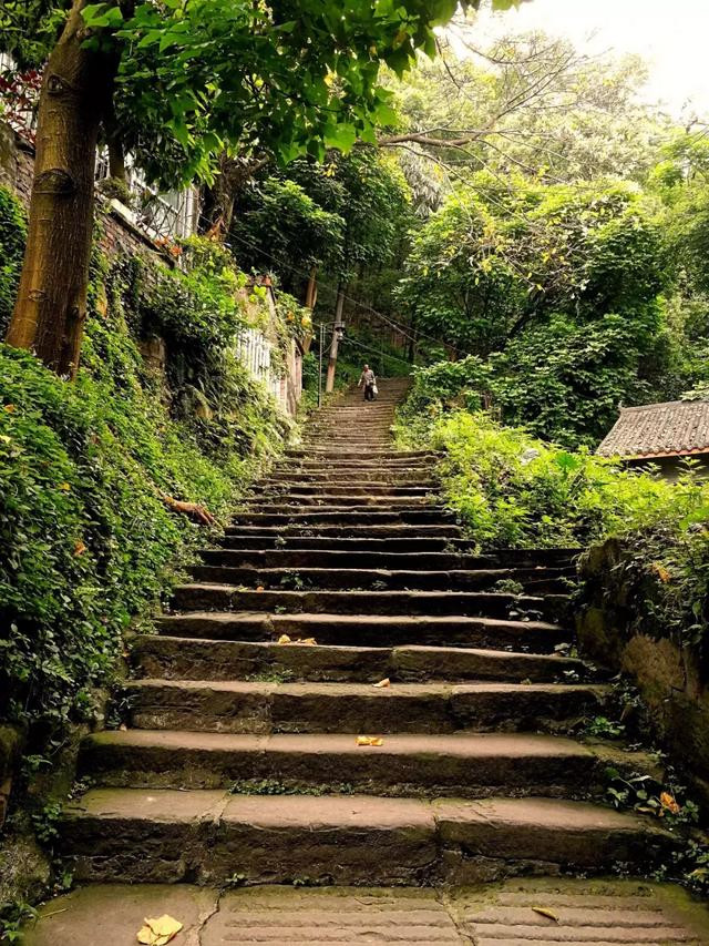 我爱重庆南山黄桷古道,让心灵在登山中得到释放