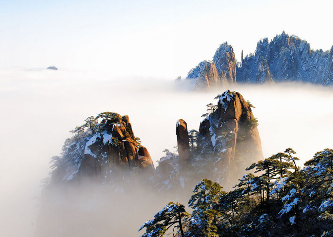 春天里 登黄山赏花:春游黄山攻略