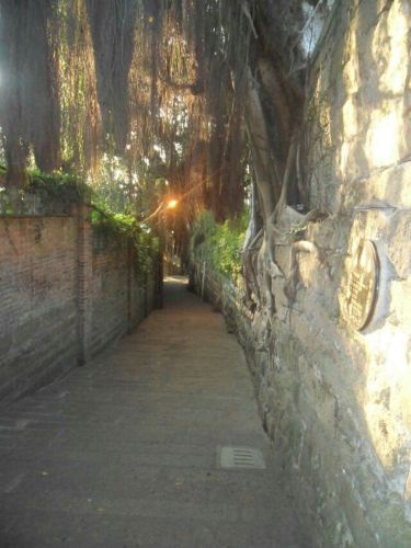 厦门鼓浪屿五天四夜实际游详细记录 - 清远游记