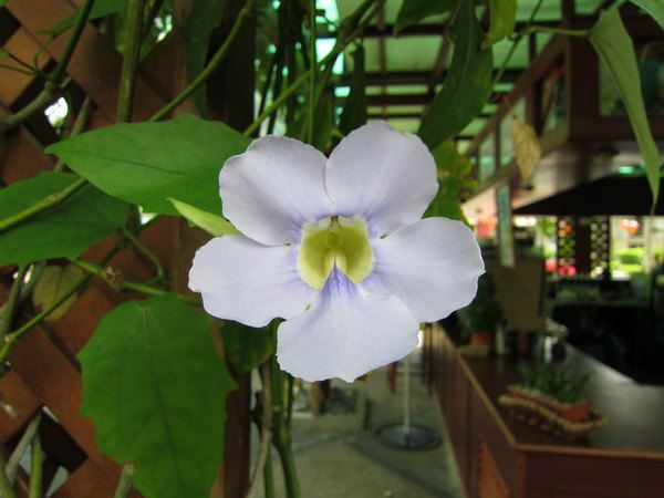 民丹岛自由行 - 民丹岛游记攻略【携程攻略】