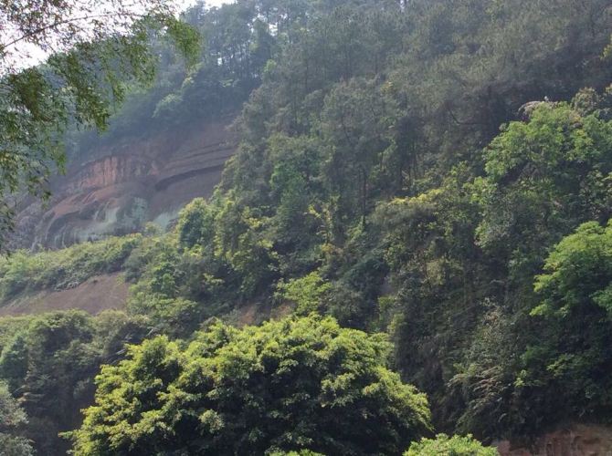 乐山一日游 - 乐山游记攻略【携程攻略】