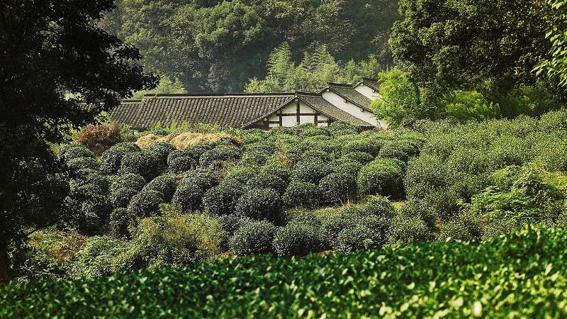 【携程攻略】杭州西子湖四季酒店西餐厅,杭州