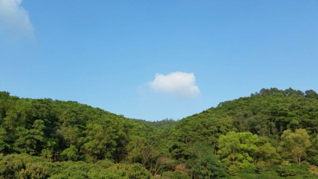 大岭山森林公园门票,东莞大岭山森林公园攻略/地址/图片/门票价格