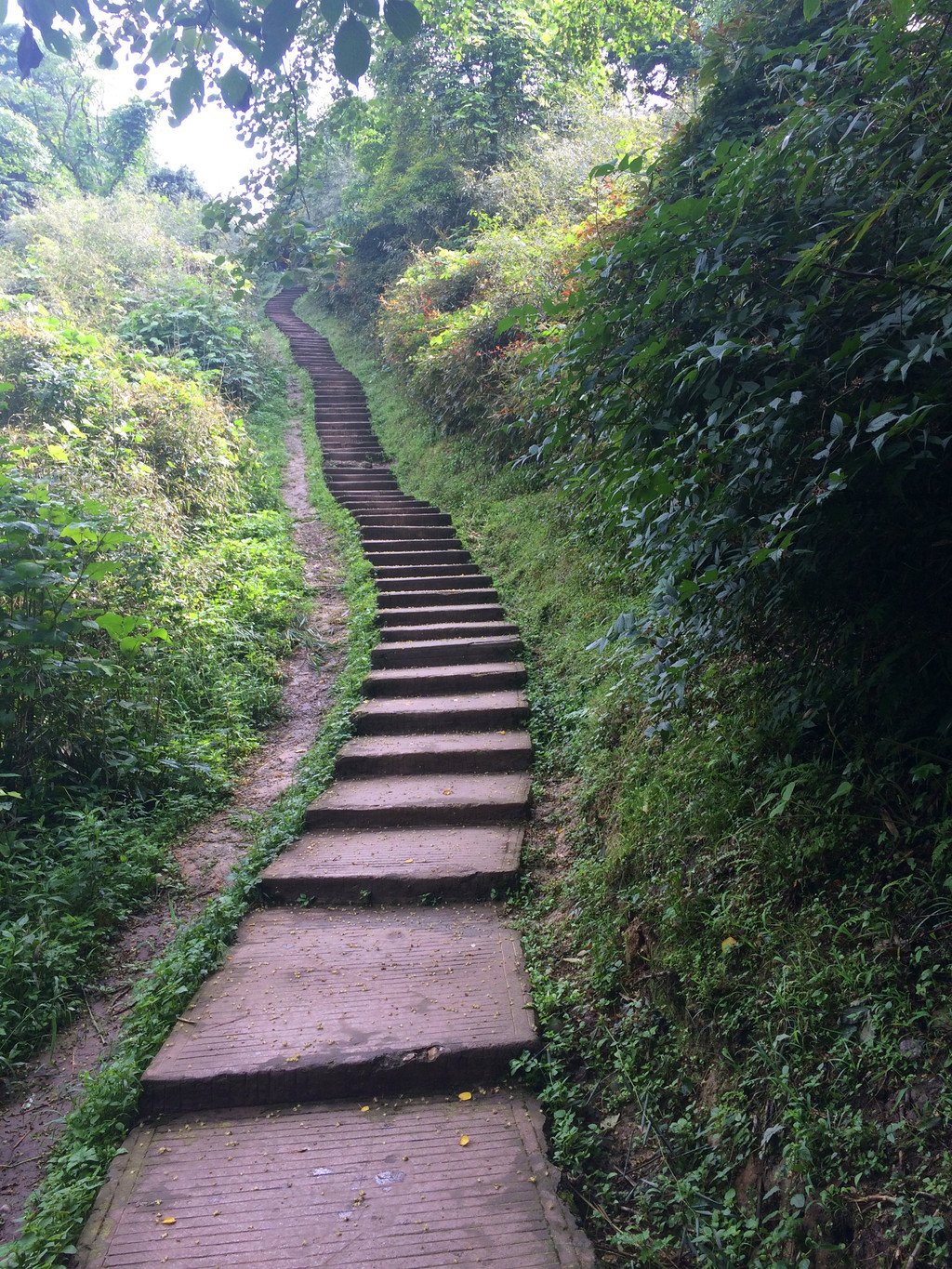 不过山上的空气,风景还是让我觉得这一趟,不虚此行!爬山也是一种锻炼!