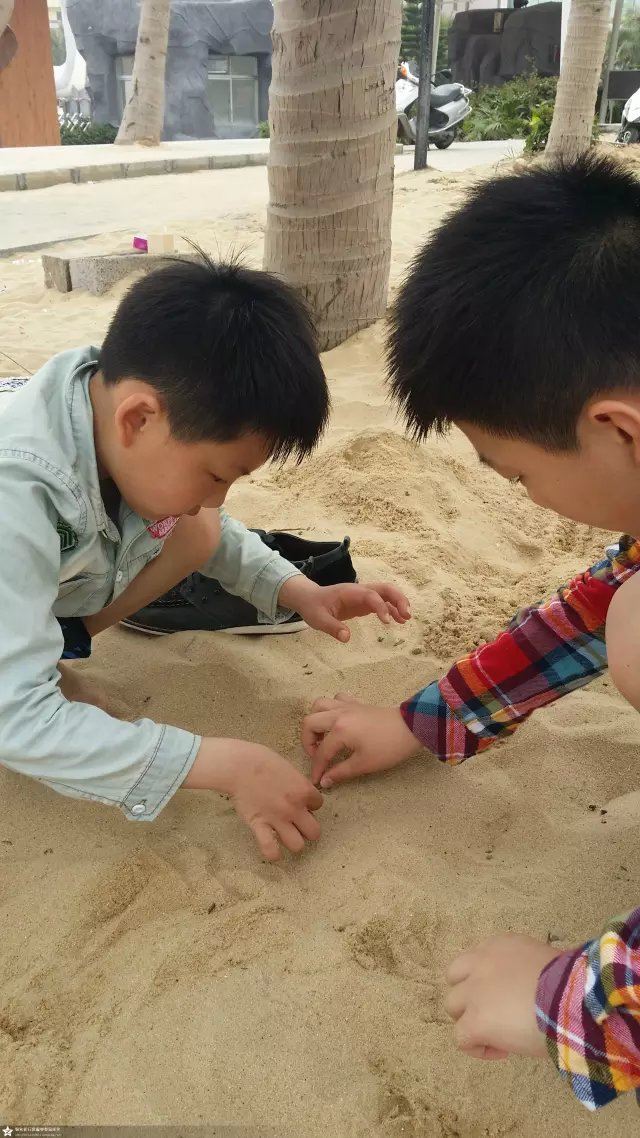海陵岛旅游攻略,来海陵岛旅游不一样-阳江游水果密室逃脱第5关攻略图片