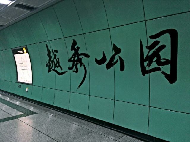 紫荆花盛放,让我们相约越秀公园可好