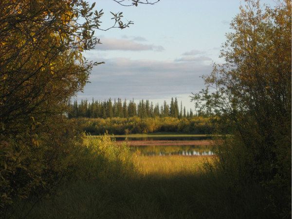 马更些河(mackenzie river),就在小镇旁边.