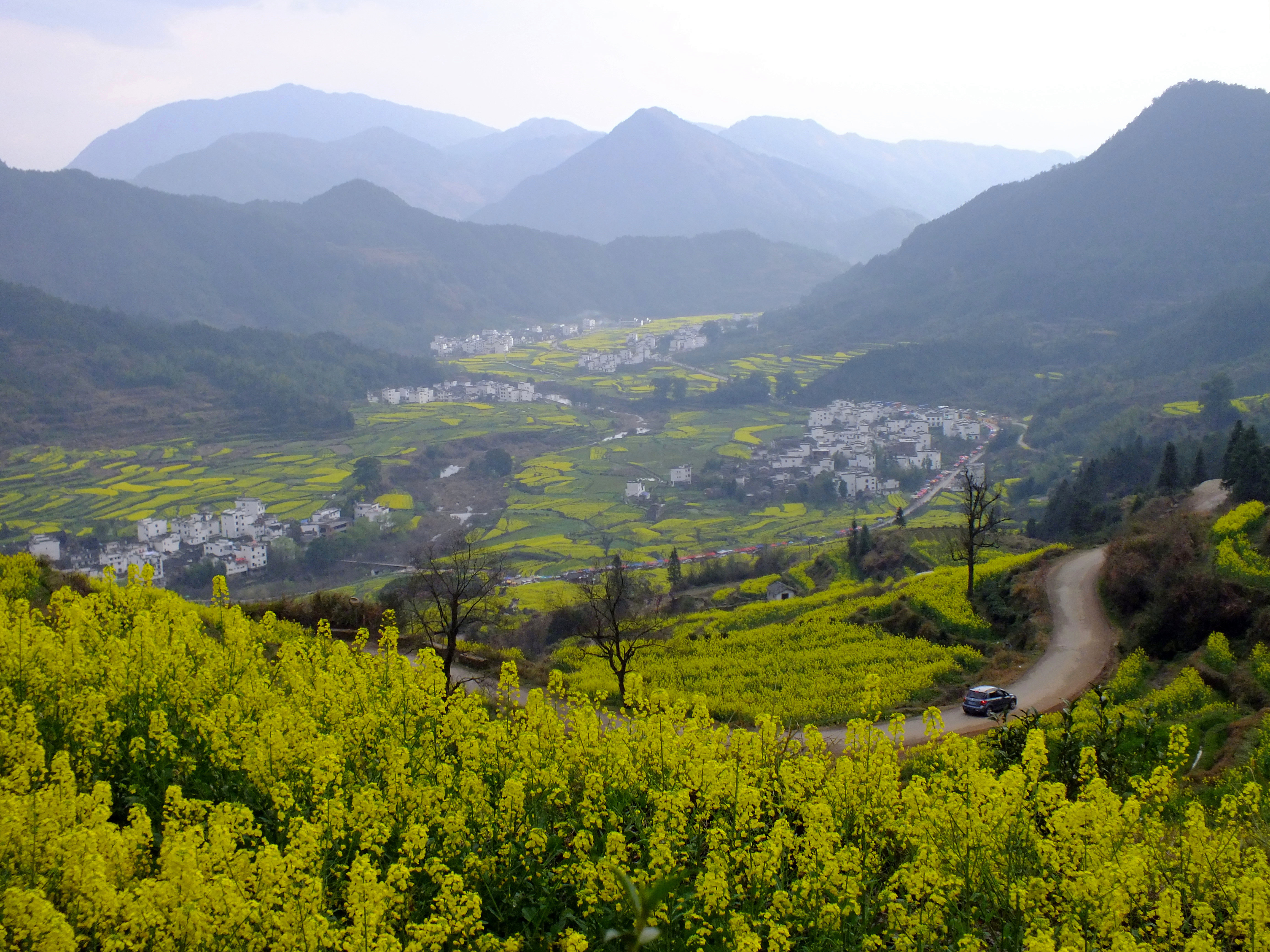 南方游记《江西婺源》