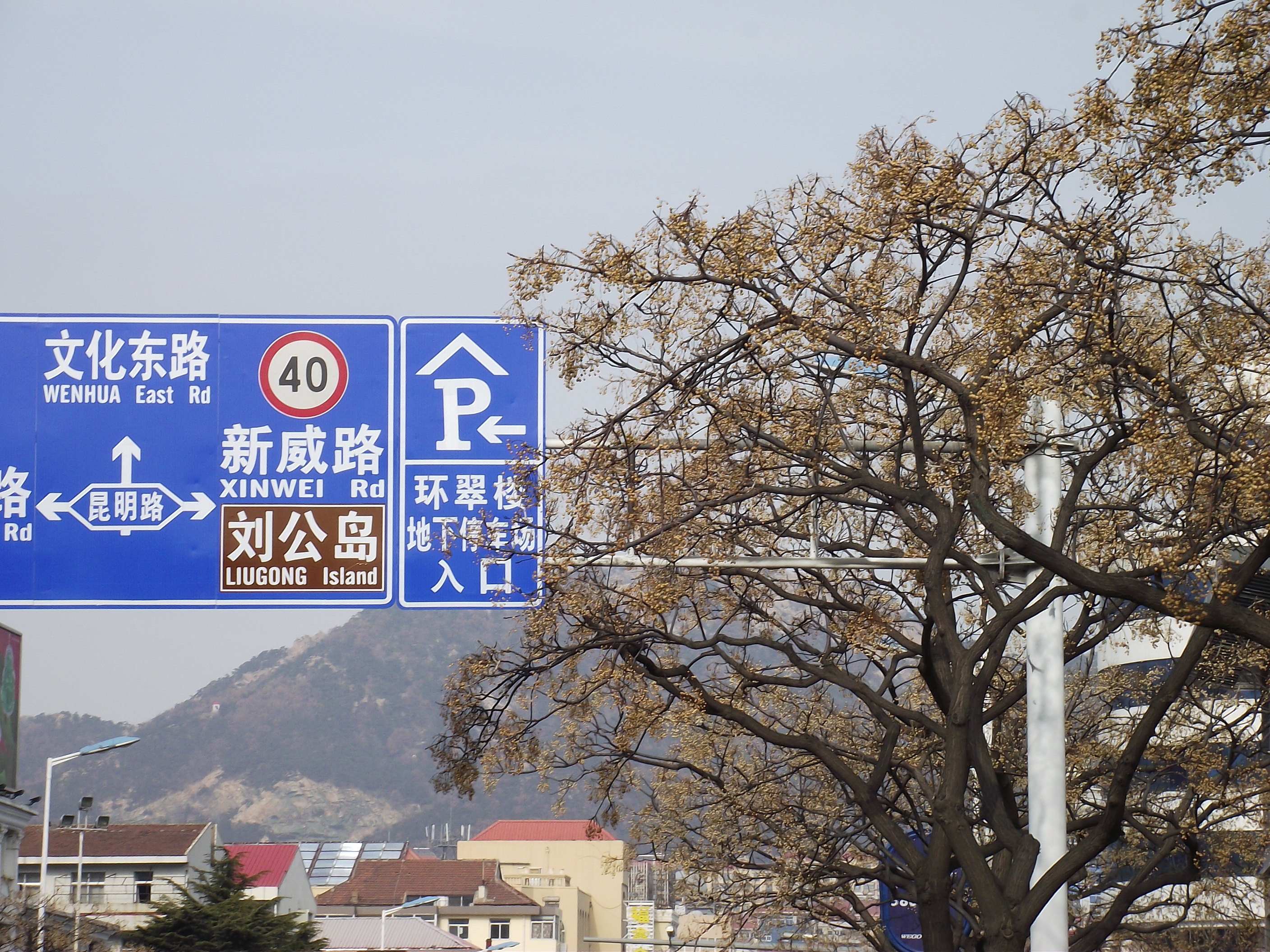 除了世昌大道,文化路也是一条贯穿东西的大街道,威海就这么两条主要