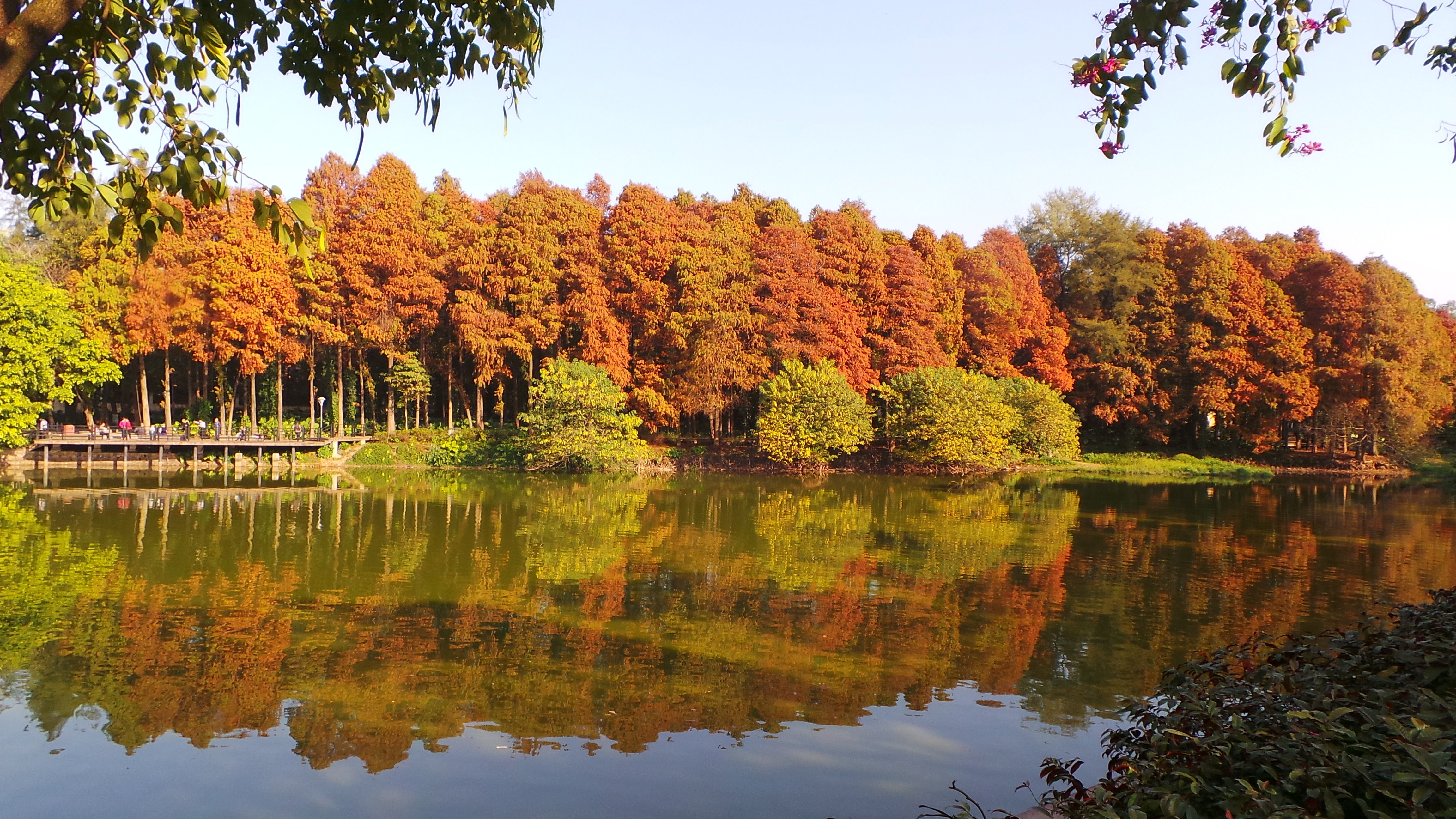 麓湖公园