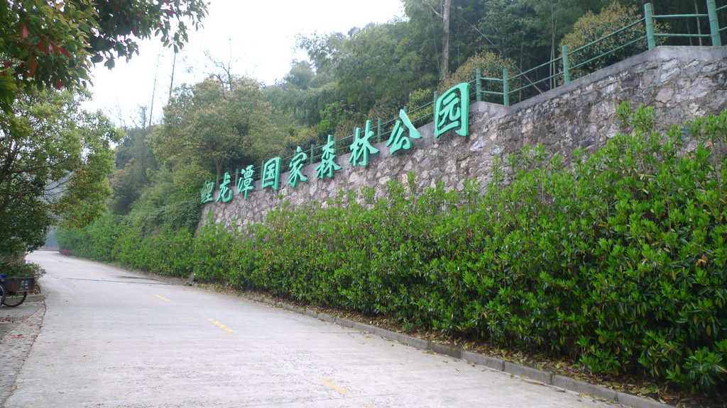 游鲤龙潭国家森林公园 象山游记攻略【携程攻略】